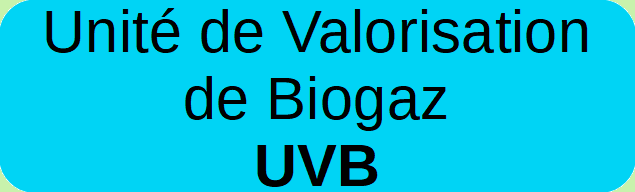 Unité de valorisation de biogaz